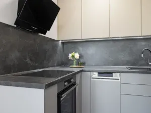 Pronájem bytu 2+kk, Havířov - Podlesí, Okrajová, 39 m2