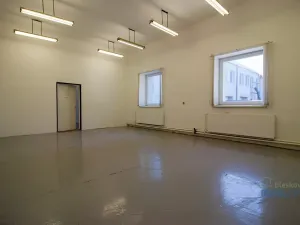 Pronájem skladu, Brandýs nad Labem-Stará Boleslav, Pražská, 73 m2