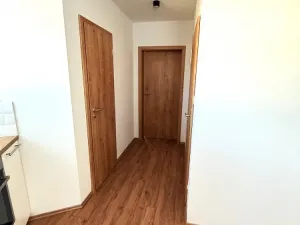 Pronájem bytu 2+kk, Brno - Ivanovice, Hřebíčková, 33 m2