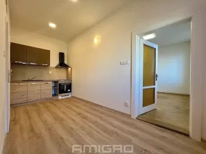 Pronájem bytu 2+1, Brno, Traubova, 70 m2