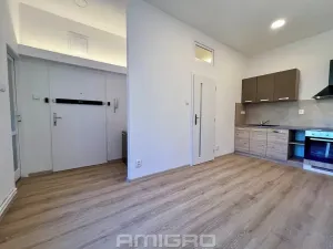 Pronájem bytu 2+1, Brno, Traubova, 70 m2