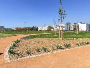 Prodej bytu 1+1, Vysoké Mýto, Pivovarská, 35 m2