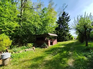 Prodej chaty, Heřmanův Městec, 70 m2