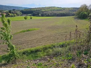 Prodej pole, Lešany, 19116 m2