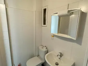 Pronájem bytu 1+kk, Praha - Nusle, V Horkách, 35 m2