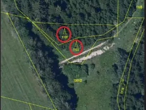 Prodej lesa, Zubří, 843 m2