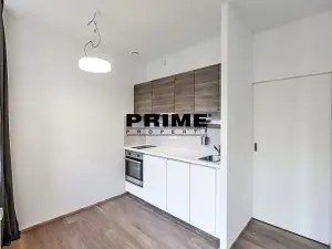 Pronájem bytu 1+kk, Praha - Vinohrady, Lucemburská, 30 m2