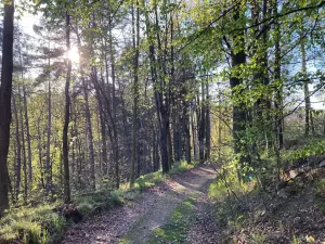 Prodej rodinného domu, Postupice, náměstí Jiřího Franka, 96 m2