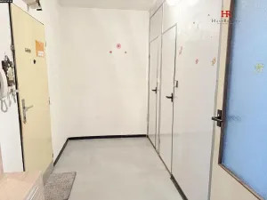 Prodej bytu 1+1, Sázava, Sídliště 9. května, 42 m2