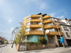Pronájem obchodního prostoru, Praha - Kobylisy, U třešňovky, 224 m2