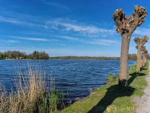 Prodej rodinného domu, Chlum u Třeboně, Třeboňská, 111 m2