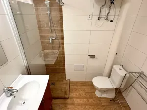 Pronájem bytu 1+kk, Brno, Venhudova, 22 m2