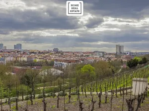 Prodej bytu 3+kk, Praha - Vršovice, Francouzská, 95 m2