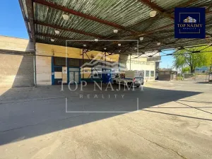Pronájem skladu, Ostrava, Novinářská, 500 m2