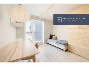 Pronájem bytu 1+kk, Brno, Chaloupkova, 22 m2