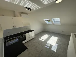 Pronájem bytu 2+kk, Těšany, 49 m2