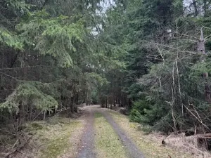 Prodej lesa, Mrákov, 34704 m2