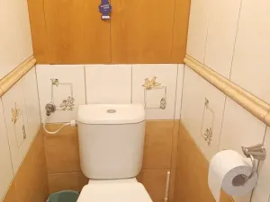Pronájem bytu 3+1, Jakartovice, 79 m2