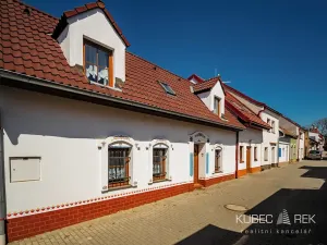 Prodej chalupy, Prušánky, Nechory, 80 m2