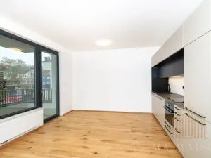 Pronájem bytu 2+kk, Praha - Nusle, Závišova, 42 m2