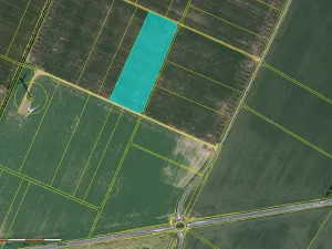 Prodej pole, Bantice, 42254 m2