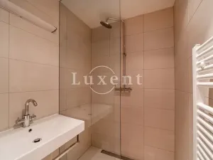 Pronájem bytu 3+1, Praha - Bubeneč, U akademie, 135 m2