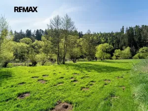 Prodej pozemku, Vlastějovice, 2100 m2