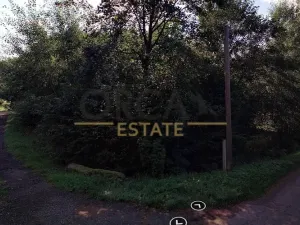 Prodej podílu pozemku, Heřmánkovice, 1303 m2