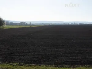Prodej pole, Ústín, 30550 m2