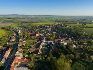 Prodej rodinného domu, Vážany, 702 m2