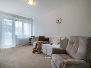 Prodej bytu 1+1, Brno - Veveří, Mášova, 30 m2