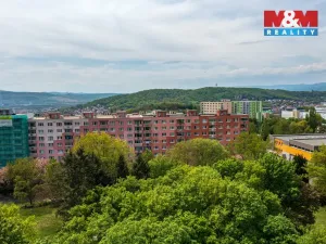 Prodej bytu 2+1, Ústí nad Labem - Severní Terasa, Pod Parkem, 62 m2
