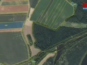 Prodej pozemku, Pňov-Předhradí, 151762 m2