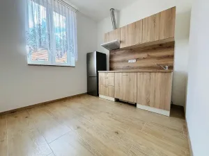 Pronájem bytu 1+1, Praha - Košíře, Holečkova, 35 m2