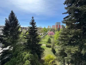 Pronájem bytu 1+kk, Praha - Záběhlice, Narcisová, 24 m2
