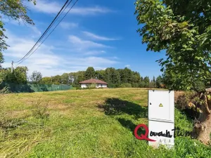 Prodej pozemku pro bydlení, Sedlec-Prčice, 3214 m2