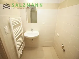 Pronájem bytu 1+kk, Plzeň, Nemocniční, 29 m2