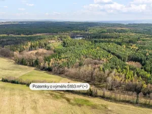 Prodej rodinného domu, Horní Jelení, Lesní, 100 m2