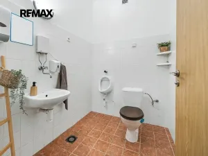 Prodej komerční nemovitosti, Velké Bílovice, Habánská, 505 m2