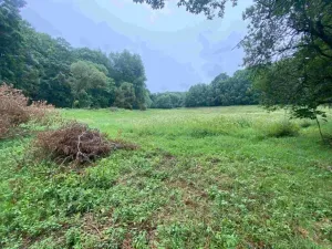 Dražba louky, Úterý, 11289 m2