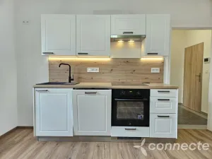 Pronájem bytu 1+kk, Praha - Nusle, U družstva Ideál, 31 m2