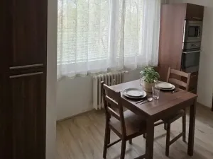 Pronájem bytu 2+1, Brno, Palackého třída, 48 m2