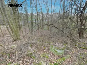 Prodej zahrady, Havířov, 1256 m2