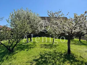 Prodej chalupy, Podmoky, 189 m2