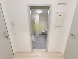Pronájem bytu 1+kk, Olomouc, Wolkerova, 43 m2