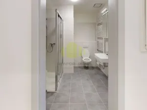 Pronájem bytu 1+kk, Olomouc, Wolkerova, 43 m2
