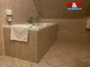 Pronájem bytu 4+kk, Plzeň - Vnitřní Město, Zbrojnická, 110 m2