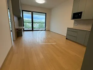 Pronájem bytu 2+kk, Praha - Holešovice, Jankovcova, 69 m2
