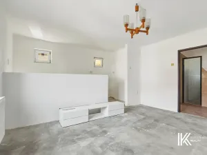 Prodej vícegeneračního domu, Pardubice, Ve Stezkách, 332 m2
