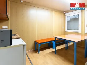 Pronájem výrobních prostor, Dnešice, 694 m2